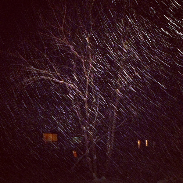 Untitled (Rain) from Harlem Valley by Danny Ghitis