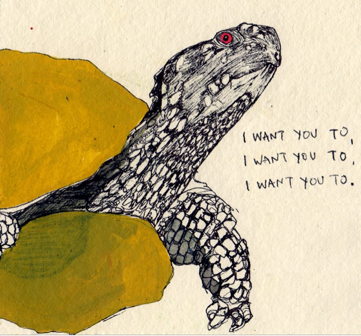 I Want Turtle Magnet by Gabriela Vainsencher
