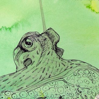 Octopus Magnet by Gabriela Vainsencher