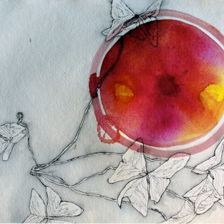 Oxalis Magnet by Gabriela Vainsencher