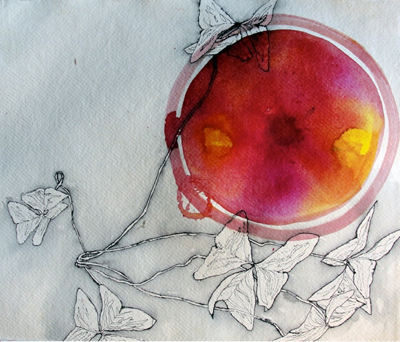 Oxalis Magnet by Gabriela Vainsencher