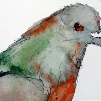 Red Eyed Pigeon Magnet by Gabriela Vainsencher