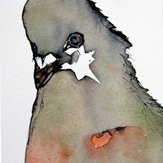 Star Pigeon Magnet by Gabriela Vainsencher