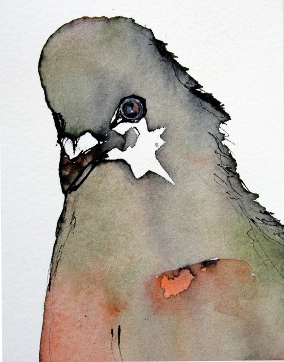 Star Pigeon Magnet by Gabriela Vainsencher
