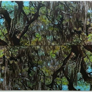 Southern Garden by Ashley May