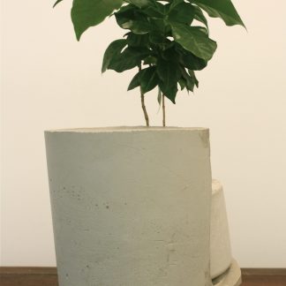 Almost Nice Domestic Device (#1) by Megan Berk