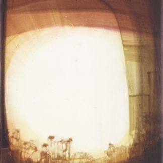 Distance (#6) by Megan Berk