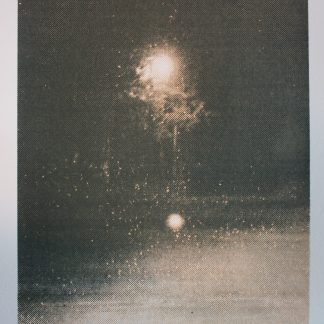 Lights In Trees (Woods) by Megan Berk