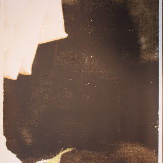 Rose Garden (#5) by Megan Berk