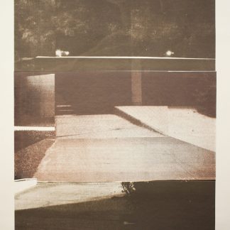 I Came In From The Wilderness by Megan Berk