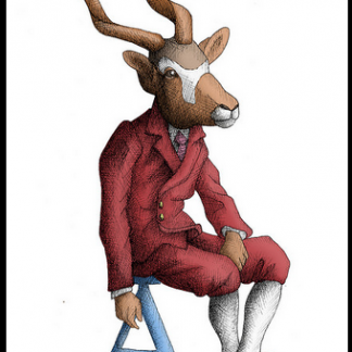 A Is For Addax by Allison Guy