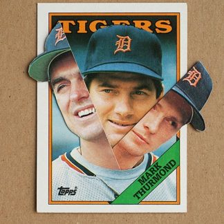 America's Pastime #34 by Christopher Gideon