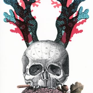 Sea Captain 10 by Dominick Rapone