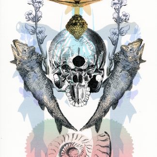 Sea Captain 4 by Dominick Rapone